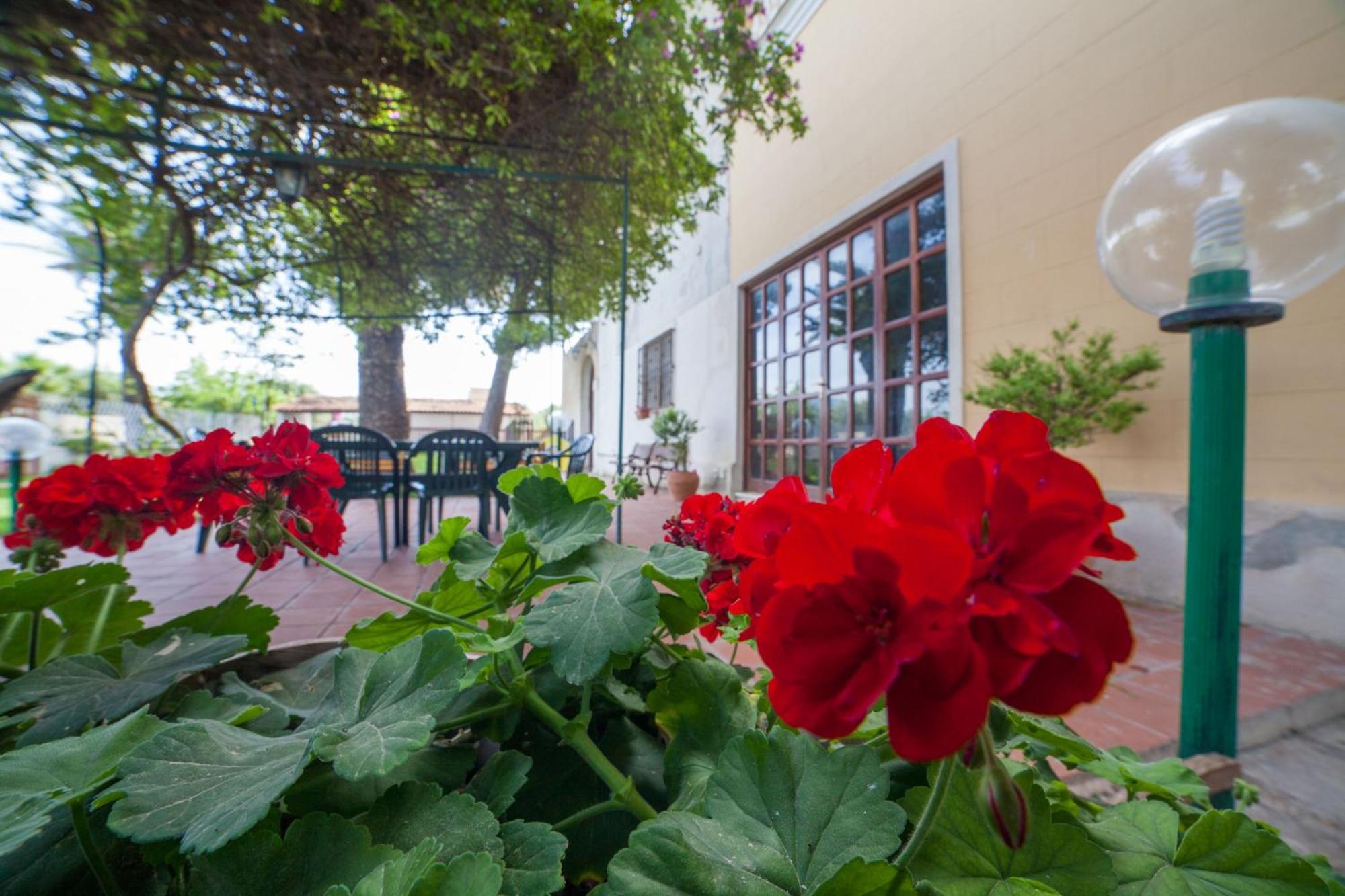 B&B Villa Amodeo Paceco Exterior foto